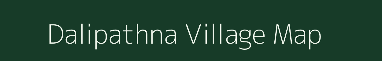 Dalipathna village map in Odisha