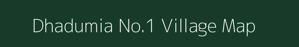 Dhadumia No.1 village map in Assam