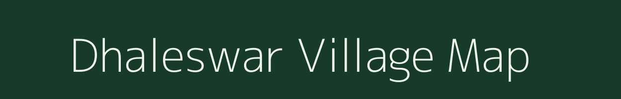 Dhaleswar village map in Odisha