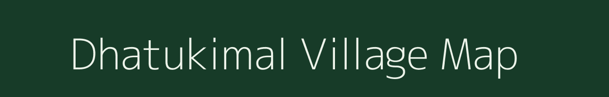 Dhatukimal village map in Odisha