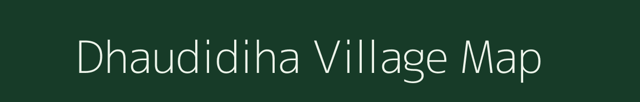 Dhaudidiha village map in Odisha