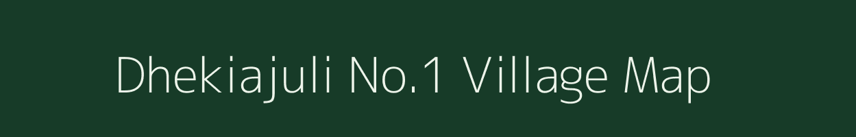 Dhekiajuli No.1 village map in Assam