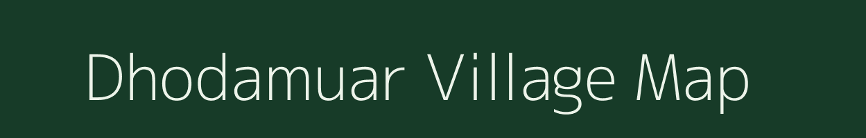 Dhodamuar village map in Madhya Pradesh