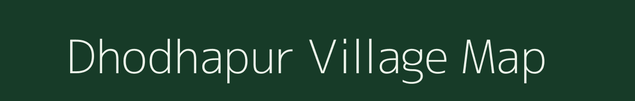 Dhodhapur village map in Chhattisgarh