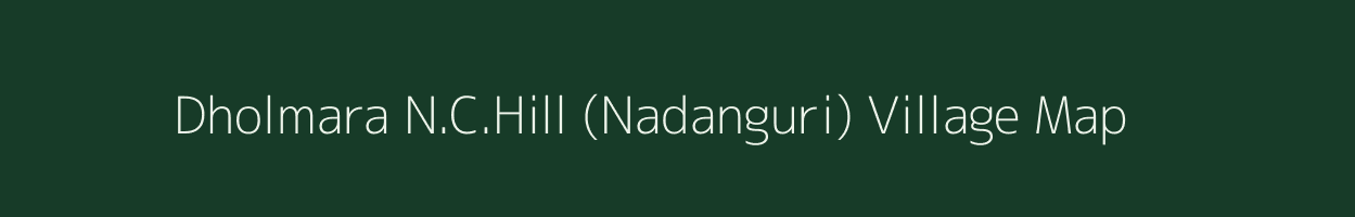 Dholmara N.C.Hill (Nadanguri) village map in Assam