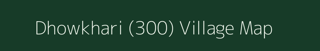 Dhowkhari (300) village map in Madhya Pradesh