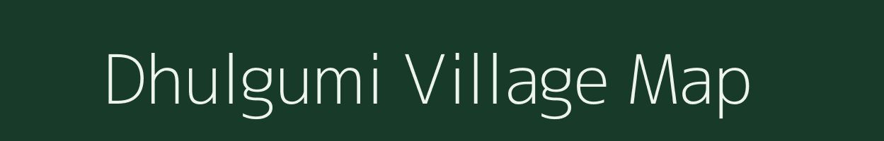 Dhulgumi village map in Odisha