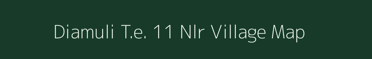 Diamuli T.e. 11 Nlr village map in Assam