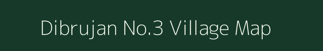 Dibrujan No.3 village map in Assam