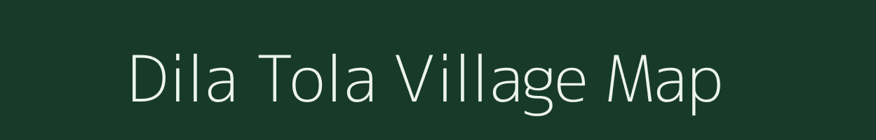 Dila Tola village map in Bihar