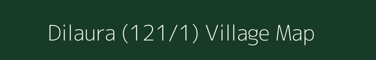 Dilaura (121/1) village map in Haryana