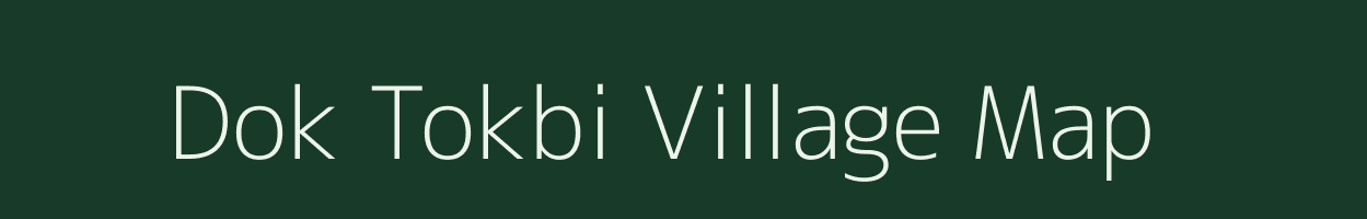 Dok Tokbi village map in Assam