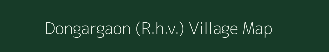 Dongargaon (R.h.v.) village map in Maharashtra