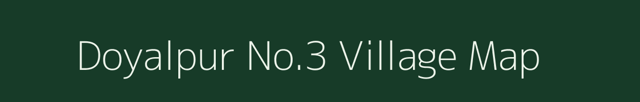 Doyalpur No.3 village map in Assam