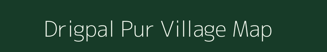 Drigpal Pur village map in Madhya Pradesh