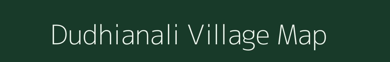 Dudhianali village map in Odisha