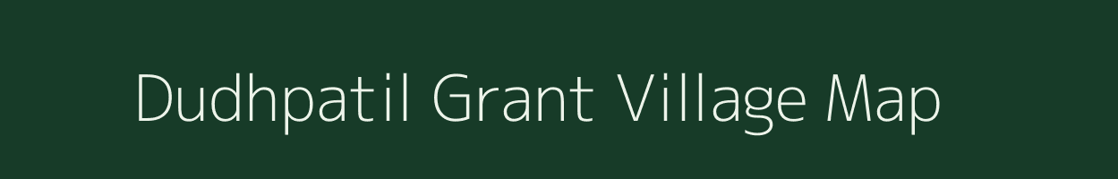 Dudhpatil Grant village map in Assam