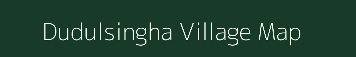 Dudulsingha village map in Odisha