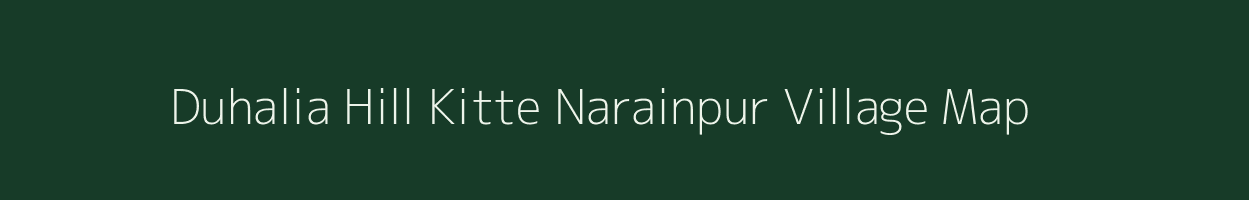 Duhalia Hill Kitte Narainpur village map in Assam