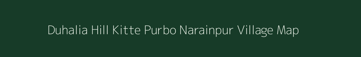 Duhalia Hill Kitte Purbo Narainpur village map in Assam