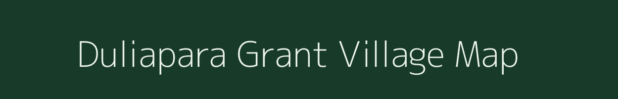 Duliapara Grant village map in Assam