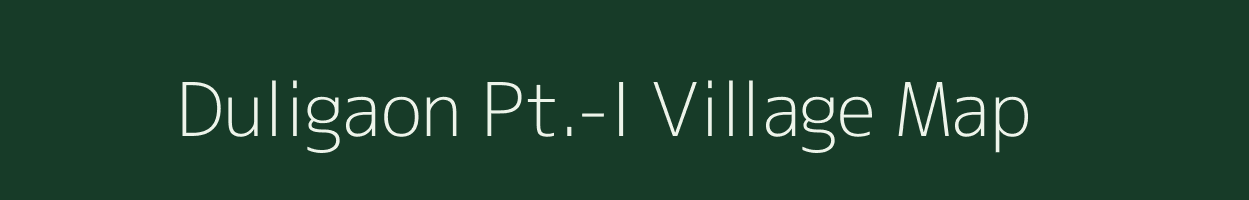 Duligaon Pt.-I village map in Assam