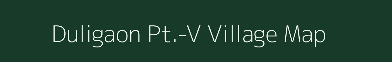 Duligaon Pt.-V village map in Assam