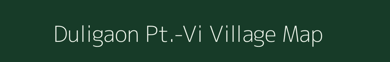 Duligaon Pt.-Vi village map in Assam