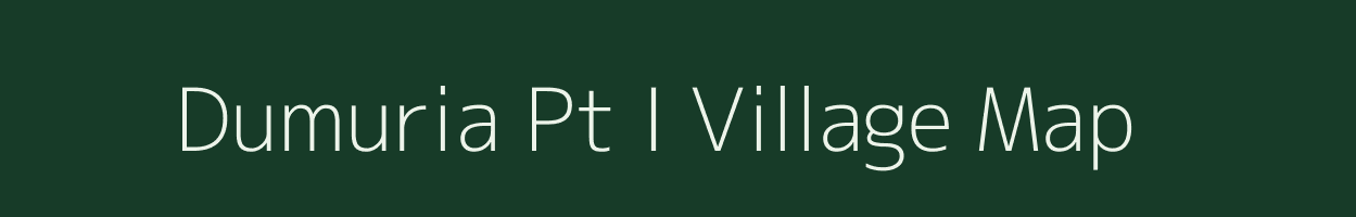 Dumuria Pt I village map in Assam