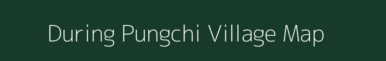 During Pungchi village map in Assam