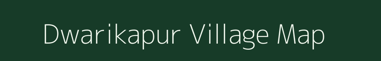 Dwarikapur village map in Odisha