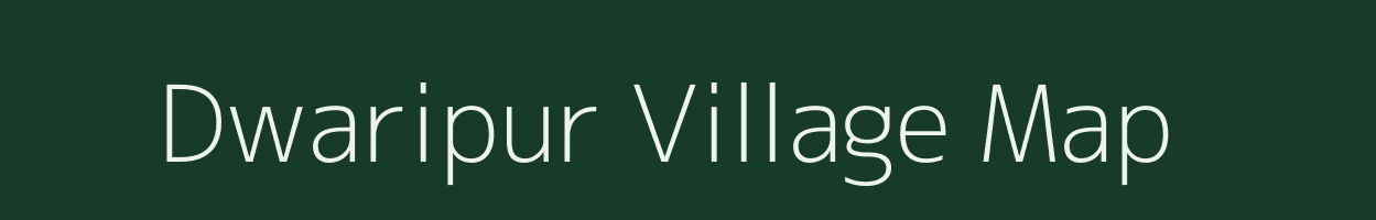 Dwaripur village map in Odisha