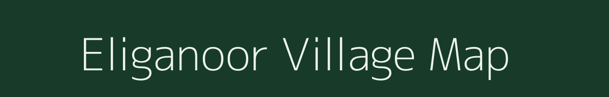 Eliganoor village map in Karnataka