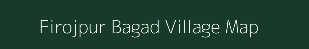 Firojpur Bagad village map in Uttar Pradesh