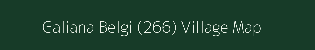 Galiana Belgi (266) village map in Himachal Pradesh