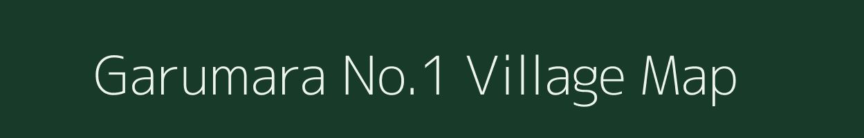 Garumara No.1 village map in Assam