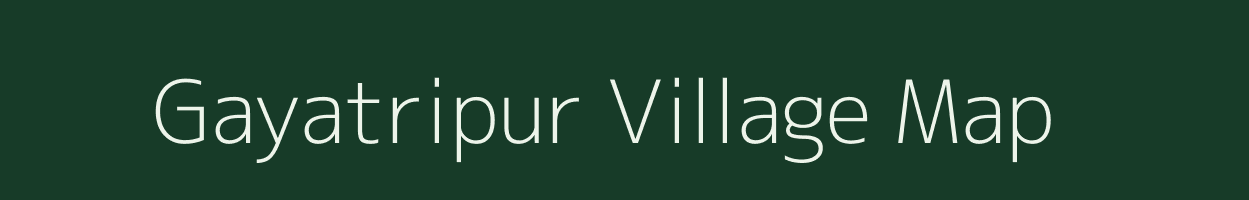 Gayatripur village map in Chhattisgarh