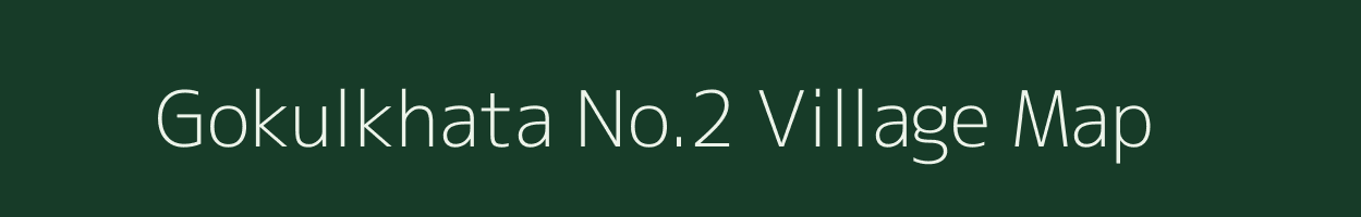 Gokulkhata No.2 village map in Assam