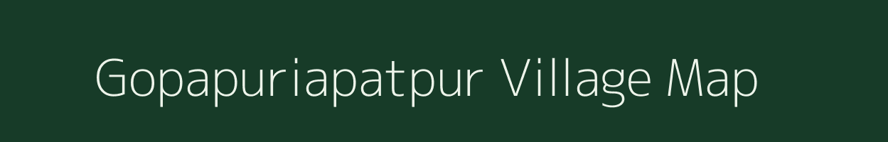 Gopapuriapatpur village map in Odisha