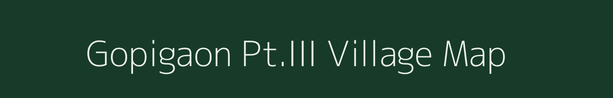 Gopigaon Pt.III village map in Assam