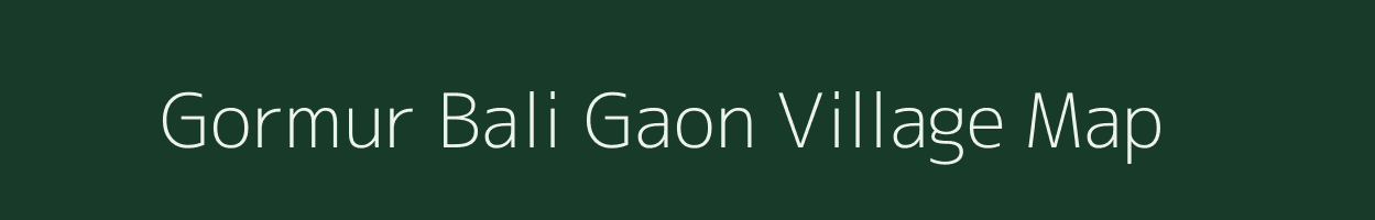 Gormur Bali Gaon village map in Assam