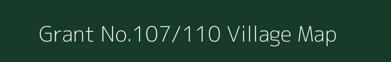 Grant No.107/110 village map in Assam