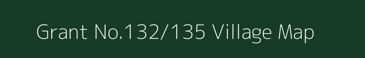 Grant No.132/135 village map in Assam