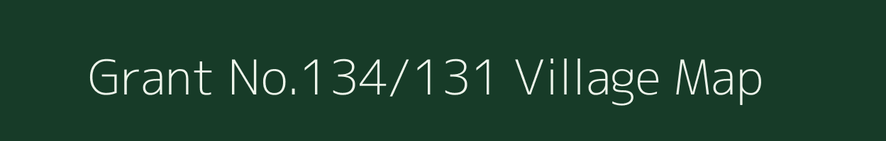 Grant No.134/131 village map in Assam