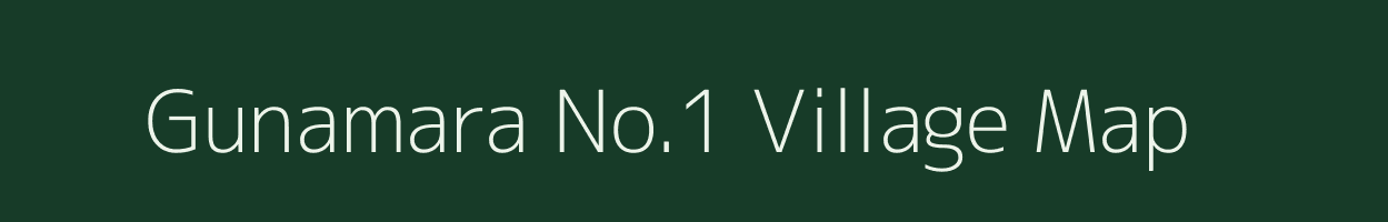 Gunamara No.1 village map in Assam