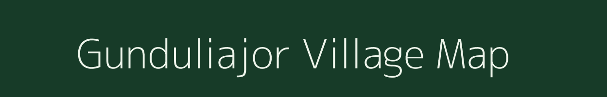 Gunduliajor village map in Odisha