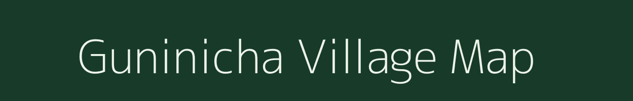 Guninicha village map in Rajasthan