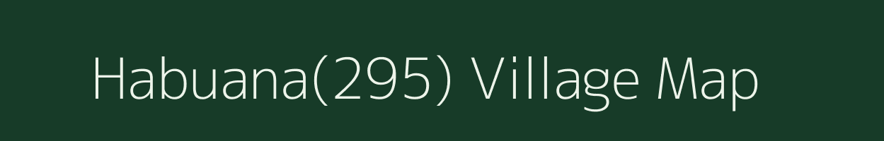 Habuana(295) village map in Haryana