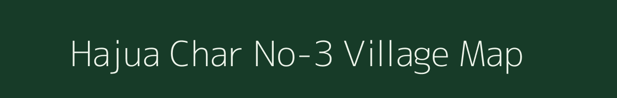 Hajua Char No-3 village map in Assam