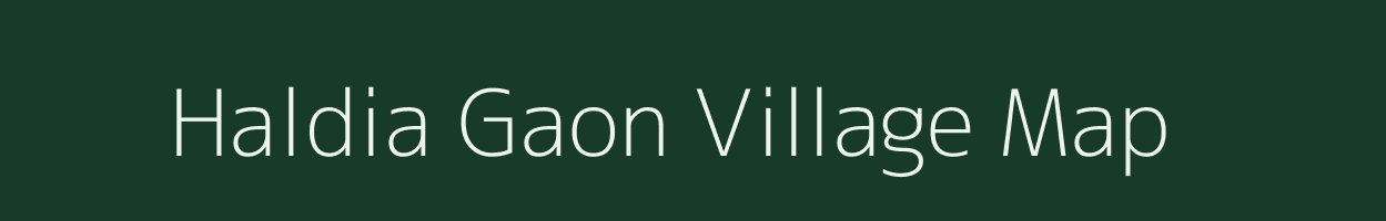 Haldia Gaon village map in Assam